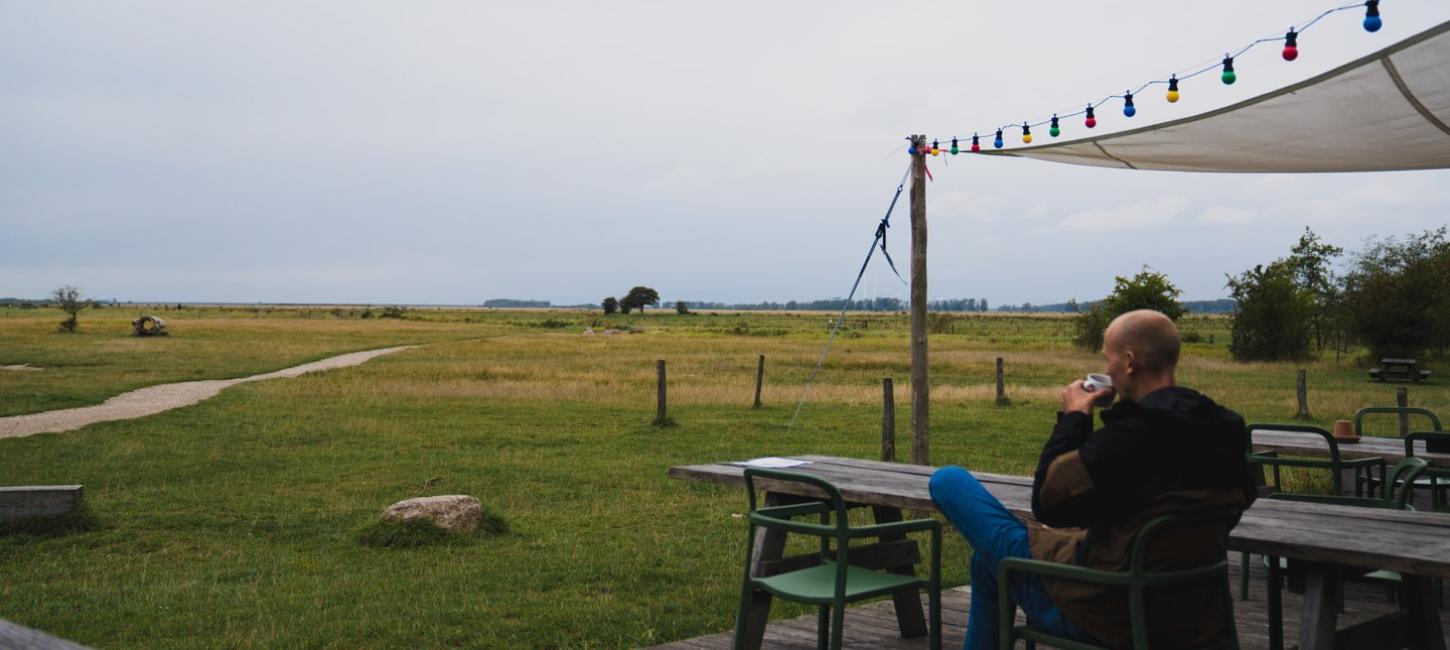 Coffee in Copenhagen's Ørestad neighbourhood overlooking the nature reserve, Amager Fælled. 