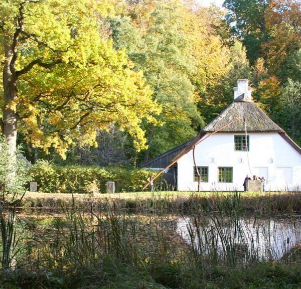 hammermøllen efterår